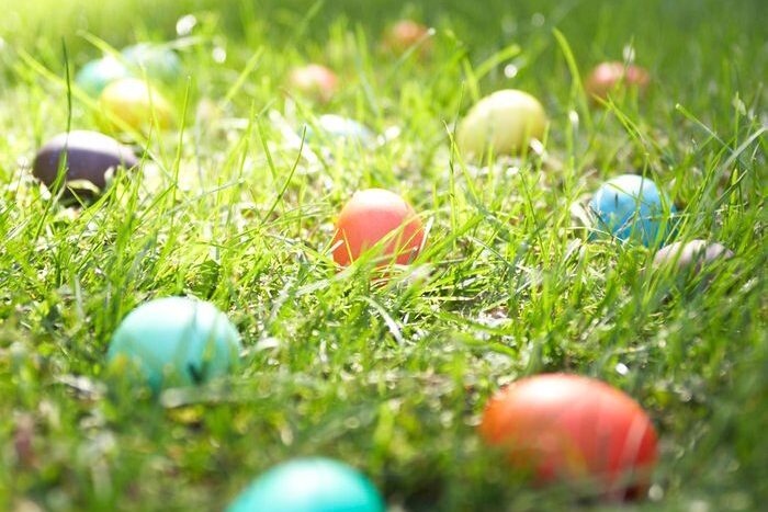 Annual Iron Work Farm Egg Hunt at the Faulkner Homestead